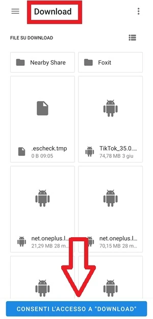 dall'app App APK Extractor & Analyzer è in evidenza con una cornice rossa la voce download, mentre una freccia indica il pulsante consenti l'accesso a download