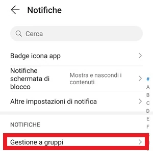 da notifiche la voce gestione a gruppi ha un riquadro rosso intorno
