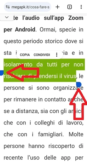 nel testo della pagina del sito megapk.it 2 frecce di colore rosso indicano dove inizia e dove finisce il testo evidenziato in verde
