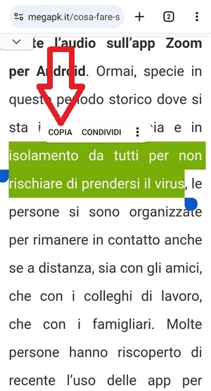 dopo che il testo è stato evidenziato nella pagina web del sito megapk.it, una freccia indica la parola copia che appare nel menu