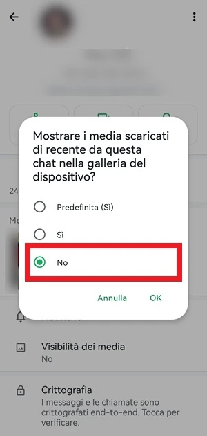 dalla finestra con scritto mostrare i media scaricati di recente da questa chat nella galleria del dispositivo? è stato selezionato no