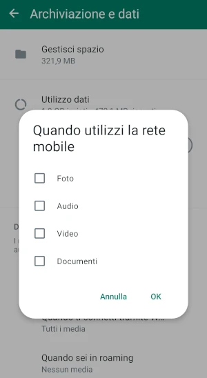 da archiviazione e dati di whatsapp sono state disattivate tutte le voci dalla finestra quando utilizzi la rete mobile