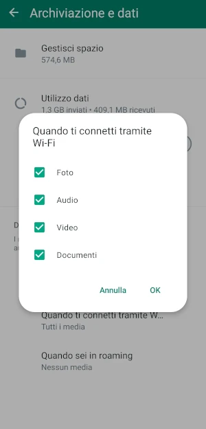 dal messaggio su schermo quando ti connetti tramite wi-fi che appare su archiviazione dati sono selezionate le voci foto, audio, video e documenti con un segno di spunta