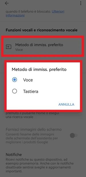dall'assistente di google è inquadrato in rosso la voce metodo di immissione preferito