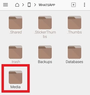 da fx explorer, c'è la cartella media inquadrata con una cornice rossa intorno
