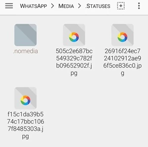 dentro la cartella statuses di fx explorer si vedono diversi file
