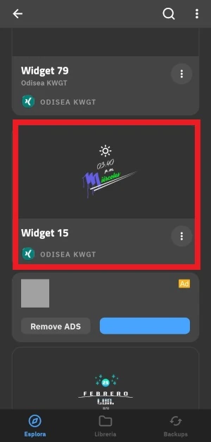 widget 15 inquadrato in rosso
