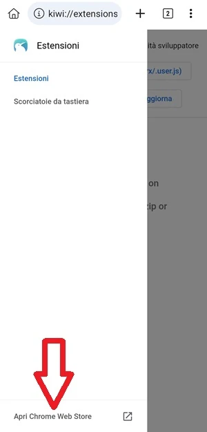 da kiwi browser nella sezione estensioni è indicata con una freccia rossa la voce apri chrome web store