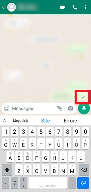 in chat su whatsapp sono incorniciati in rosso due segni di spunta