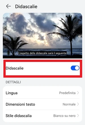 schermata da cui è possibile attivare le didascalie dalle impostazioni di android e in cui l'interruttore è attivo