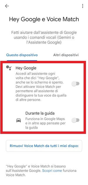 dalla sezione hey google e voice match di google la voce hey google è disattivata