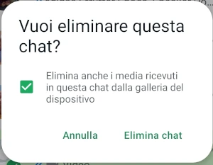 immagine con scritto vuoi eliminare questa chat? C'è anche un riquadro con lo spunta per eliminare i media ricevuti in chat
