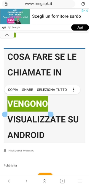 pagina web con parte di testo evidenziato