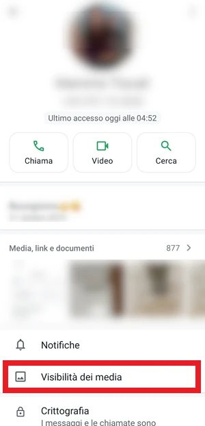 da whatsapp nella schermata del profilo personale è in evidenza la voce visibilità dei media