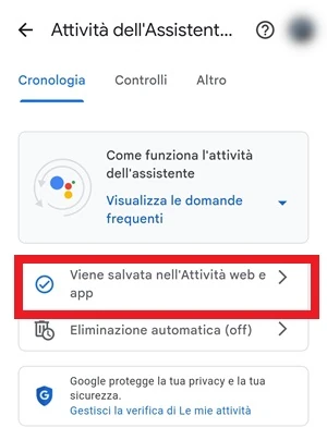 da attività dell'assistente google, la voce viene salvata nell'attività web e app è in evidenza con una cornice rossa intorno