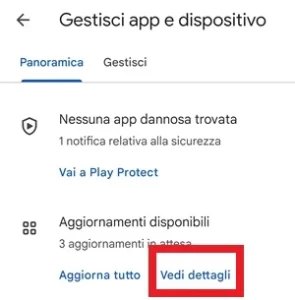 la voce vedi dettagli è inquadrata in rosso nella schermata gestisci app e dispositivo del play store