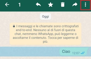 nella schermata della chat di whatsapp è inquadrata in rosso l'icona menu con 3 punti in verticale