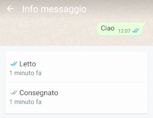 schermata info messaggio di whatsapp con scritto quando un messaggio è stato leggo e consegnato