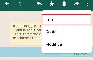 dal menu viene selezionata la voce info