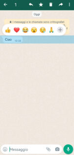 reactions di whatsapp visibili nella chat