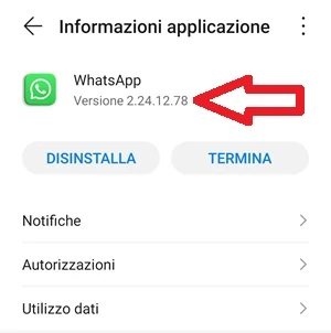versione dell'app installata sul dispositivo android visibile dalla pagina informazioni applicazione