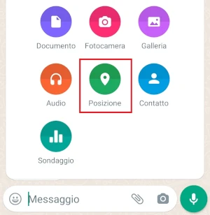 whatsapp dalla pagina degli allegati è selezionata l'icona della posizione