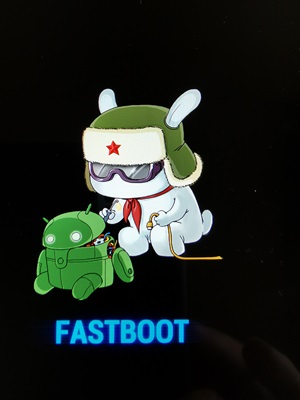 schermata fastboot di Xiaomi, Poco o Redmi