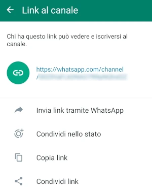 pagina link al canale di whatsapp