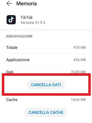 il pulsante cancella dati è in risalto nella schermata memoria di tiktok