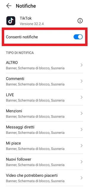 l'interruttore di fianco a consenti notifiche è attivo per le notifiche di tiktok