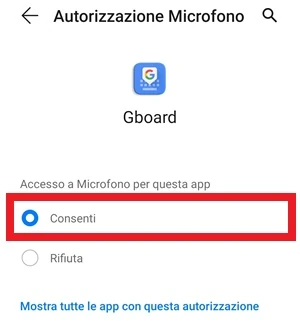 per la voce autorizzazione microfono, l'accesso al microfono per l'app è impostato su consenti 