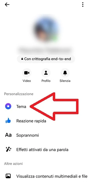 nella pagina del contatto messenger è indicata con una freccia la voce tema