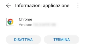 schermata informazioni applicazione dell'app google chrome